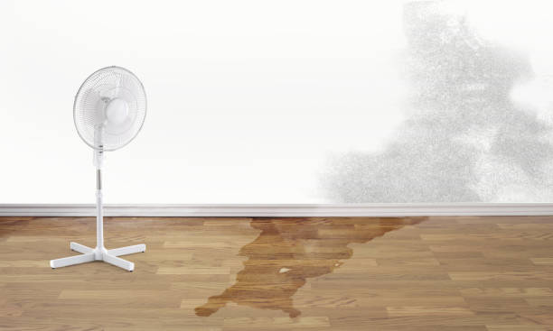 Best Flood restoration services  in St City, AR