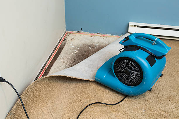 Best Sewage cleanup and water damage restoration  in St City, AR